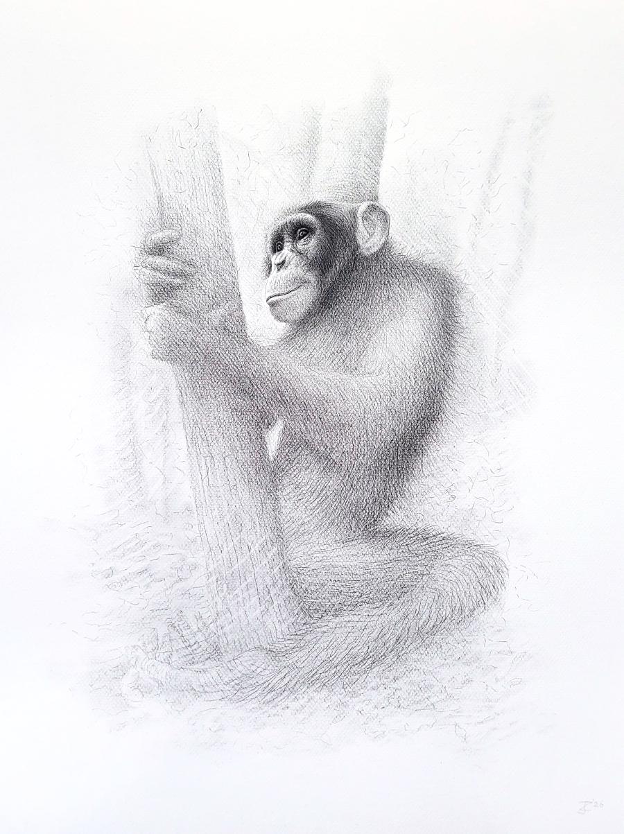 Ramba
